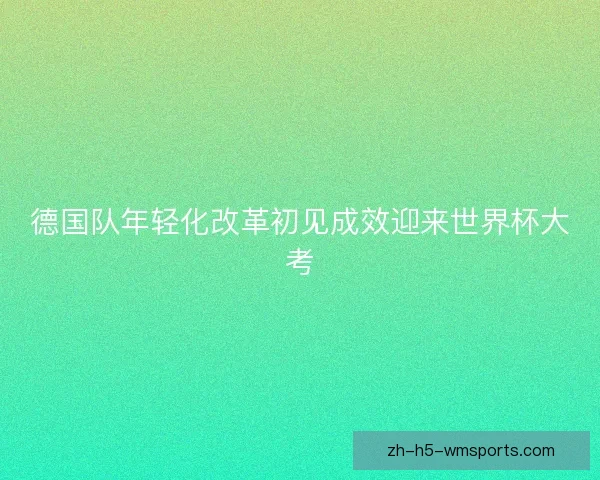 德国队年轻化改革初见成效迎来世界杯大考